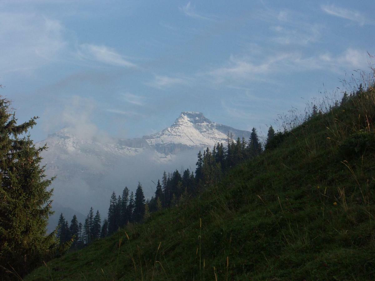 Pension Sonne Adelboden Exteriér fotografie